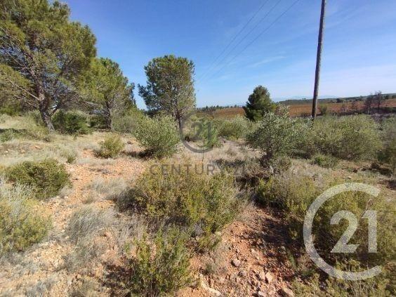 terrain à vendre 7120 m2 SALSES LE CHATEAU - 66