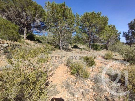 terrain à vendre 7120 m2 SALSES LE CHATEAU - 66