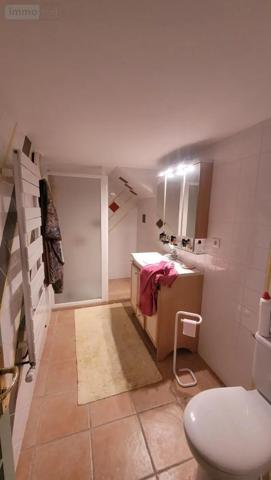 Achat - Maison Andilly 17230 8 pièces 336 m 2 157021 m 2