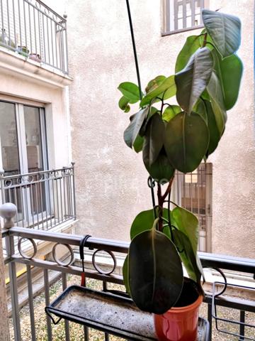 Appartement à vendre 4 pièces - Centre Historique - MONTPELLIER (34)