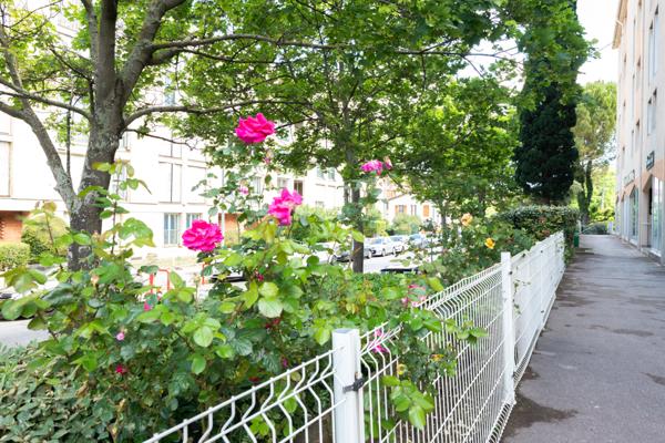  Studio vendu loué – Idéal investisseur | Rentabilité immédiate