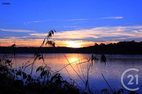 Terrain à vendre  1668 m2 ST VIATRE - 41