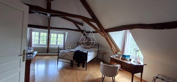 Entre Tours et Amboise, découvrez un moulin du XVIe siècle au cadre exceptionnel sur 3.4ha.