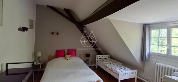 Entre Tours et Amboise, découvrez un moulin du XVIe siècle au cadre exceptionnel sur 3.4ha.