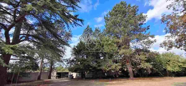 Entre Tours et Amboise, découvrez un moulin du XVIe siècle au cadre exceptionnel sur 3.4ha.