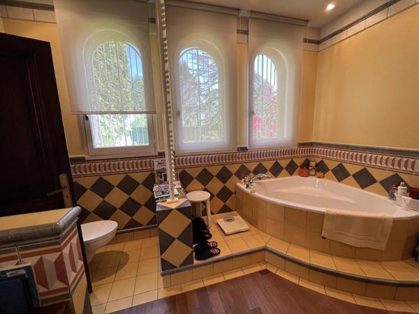 Vente Propriété 9 pièces 380 m2 à Decazeville