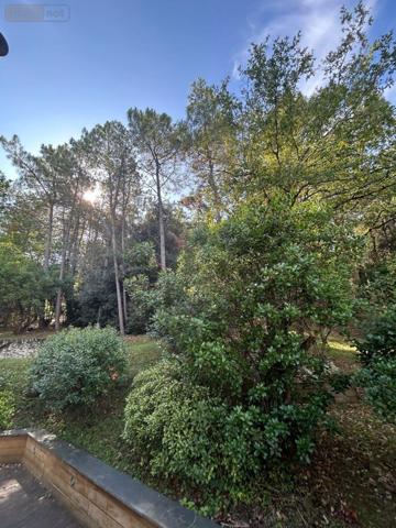 Maison individuelle à vendre à Chalonnes-sur-Loire dans le Maine-et-Loire (49290), ref : 12516/1258   
PIC MARTIN