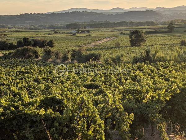 Maison d architecte de 178 m²