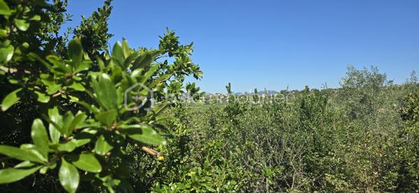 Maison d architecte de 178 m²