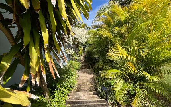 Appartement à vendre    2 pièces • 56,48 m2 Saint-François