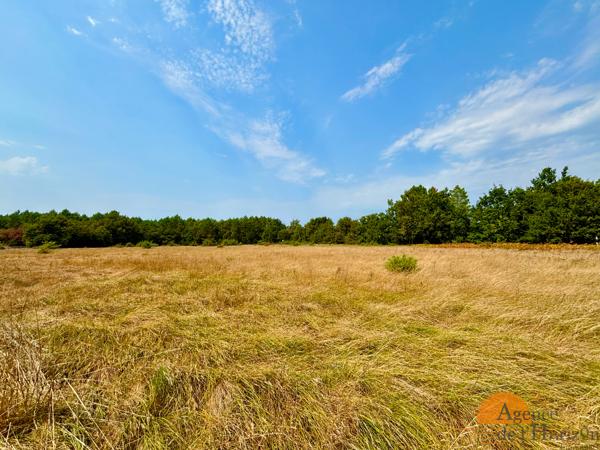 LEGE CAP FERRET - Terrain à bâtir viabilisé de 2062 m² environnement calme en lisière de forêt