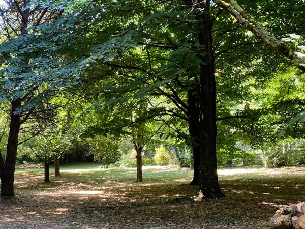 À Vendre - Superbe Propriété de Caractère avec Parc de 3 Hectares axe Uzès-Bagnols sur Cèze.