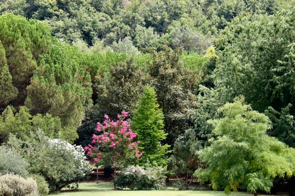 À Vendre - Superbe Propriété de Caractère avec Parc de 3 Hectares axe Uzès-Bagnols sur Cèze.