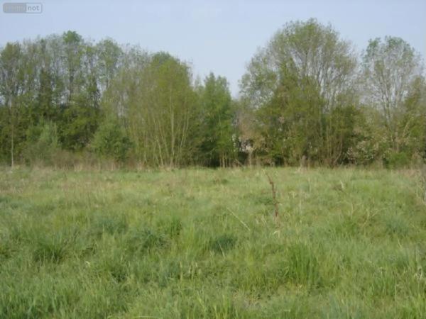 Achat - Terrain à bâtir Velaines 55500 1700 m 2