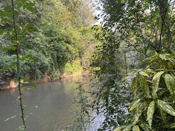 Achat - Terrain de loisirs, bois, étangs Vernou-sur-Brenne 37210 1335 m 2