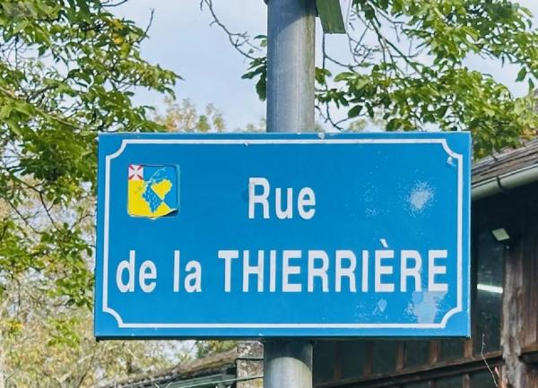 Achat - Terrain de loisirs, bois, étangs Vernou-sur-Brenne 37210 1335 m 2