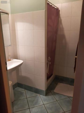 Appartement à louer à Saint-Martin-en-Haut dans le Rhône (69850), ref : 260313