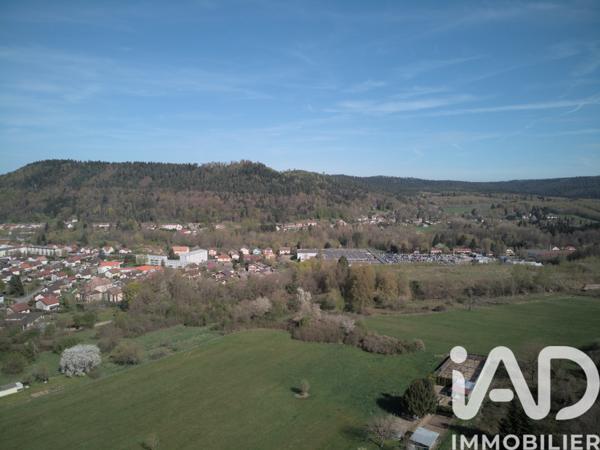 Terrain à vendre 4 089 m² Raon-l'Étape