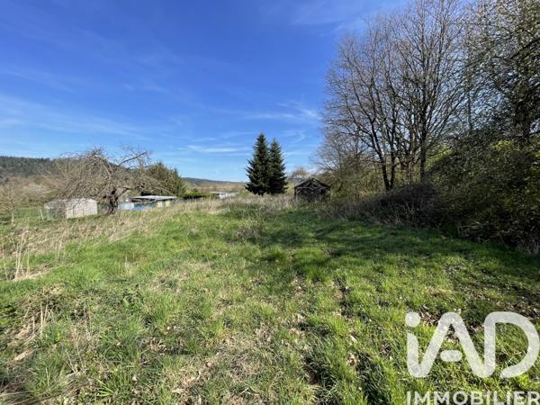 Terrain à vendre 4 089 m² Raon-l'Étape