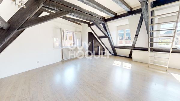 F2 triplex de 47.21m² au centre de THANN (68800)
