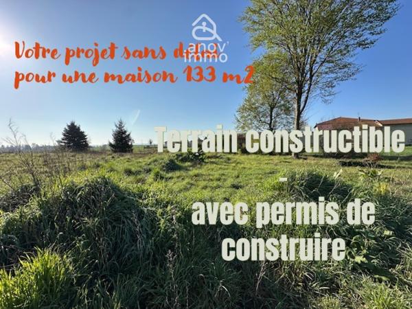Terrain