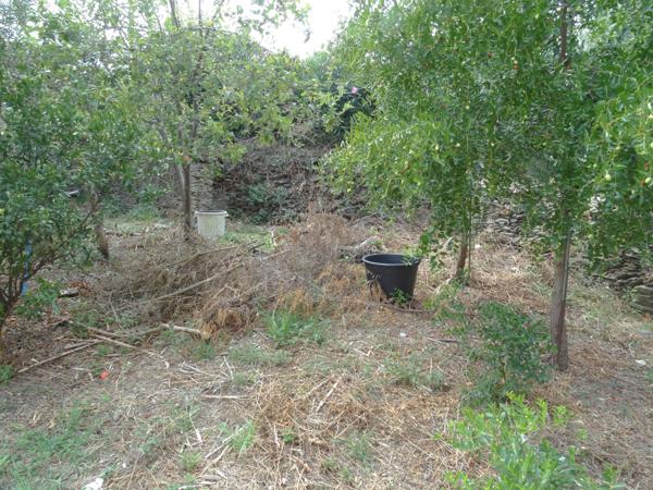 À vendre - Maison contemporaine, 4 pièces située à Sisco (20233)