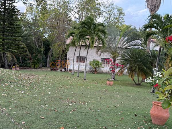 Vente
                Maison80 m² - 3 Pièces -
                    LE MOULE (97160)