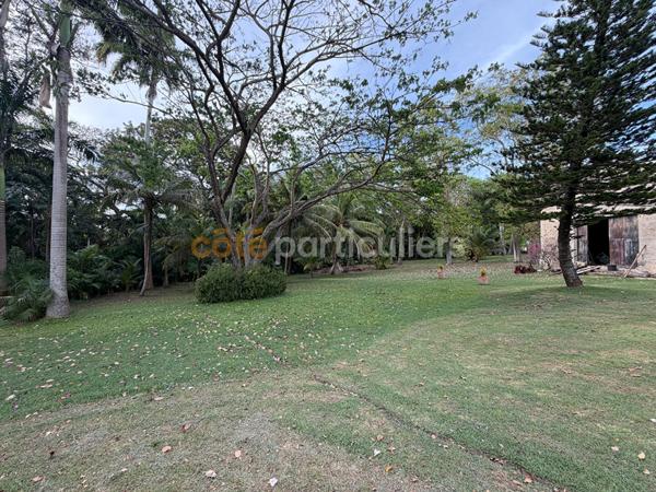 Vente
                Maison80 m² - 3 Pièces -
                    LE MOULE (97160)