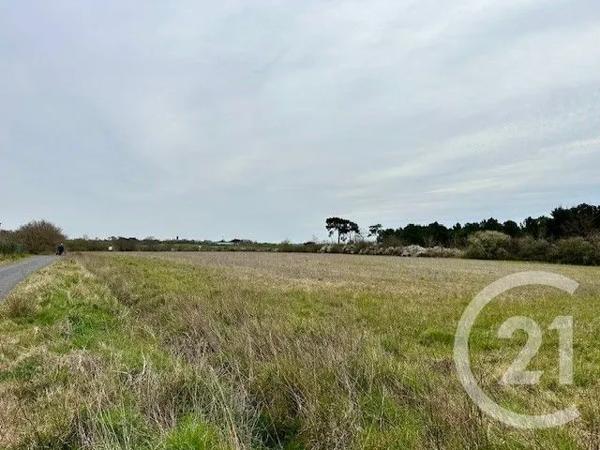 Terrain à vendre  285 m 2   GIVRAND  - 85