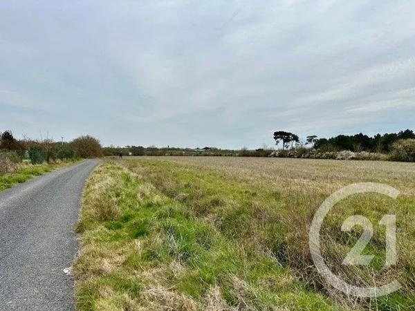 Terrain à vendre  285 m 2   GIVRAND  - 85