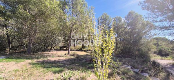 Les Pennes Mirabeau - 13170 (limite Septèmes les Vallons), maison de 71 m2 avec extérieur et caves