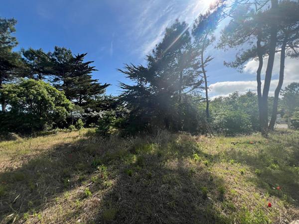 Situation Exceptionnelle !