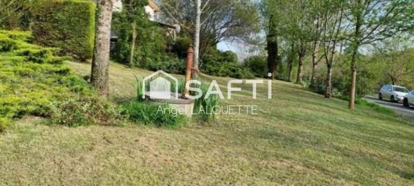 Propriété rare : maison + 4 gîtes, piscine, 4 ha sans vis-à-vis