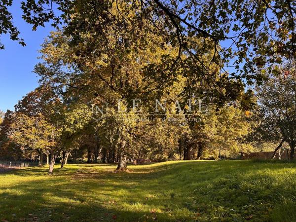 En Vendée, beau château du XVème et du XIXème siècle dans un parc de 10 hectares