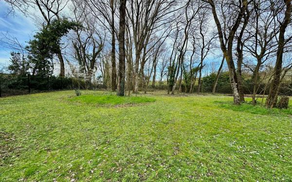 Appartement à vendre    4 pièces • 79,70 m2 Bruges