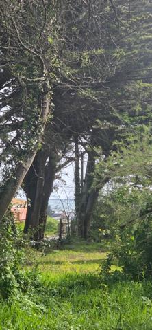 Terrain à vendre à Sarzeau - Secteur Sarzeau - St Jacques, proche océan