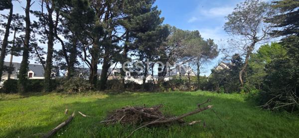 Terrain à vendre à Sarzeau - Secteur Sarzeau - St Jacques, proche océan