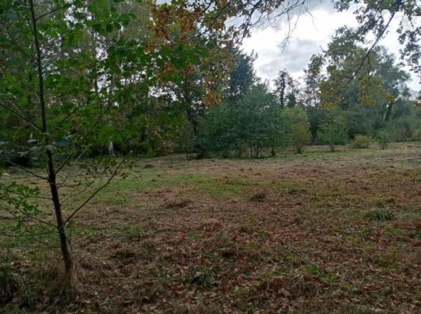 GLISY 2 étangs avec mobilhome