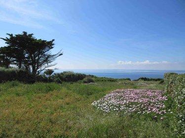Maison à vendre à Plouhinec dans le Finistère (29780), ref : 020/3751