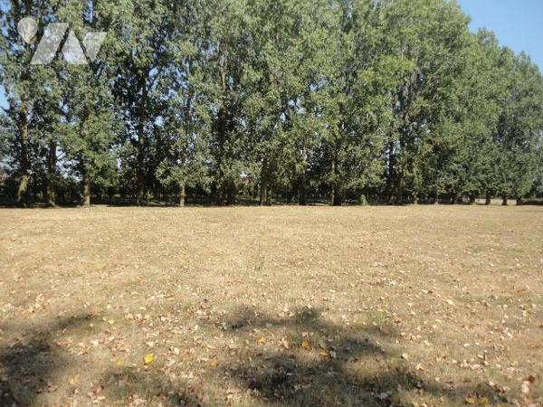 A VENDRE sur NIEPPE dans le NORD (59)- Magnifique FERME rénovée sur et avec  1 hectare de terra...
