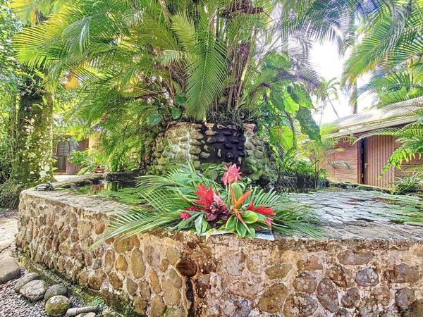 Vente murs / Local Commercial