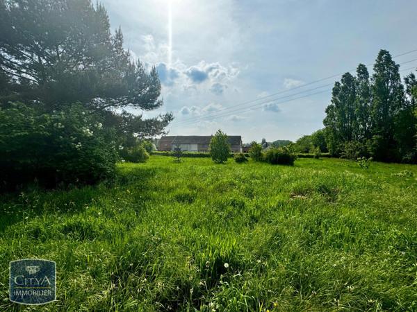 Vente maison Ferrière-la-Grande (59680) 7 pièces 180m²