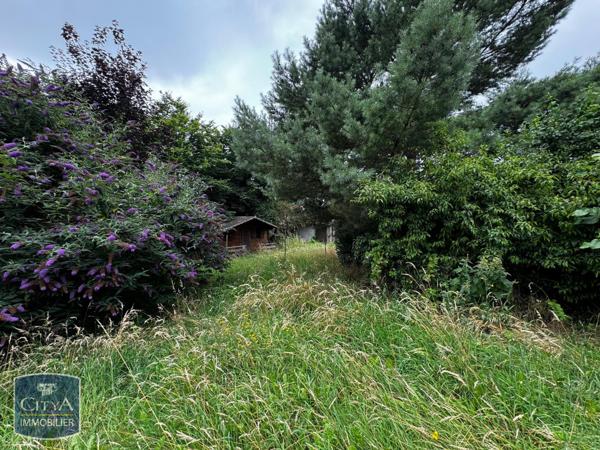 Vente maison Ferrière-la-Grande (59680) 7 pièces 180m²