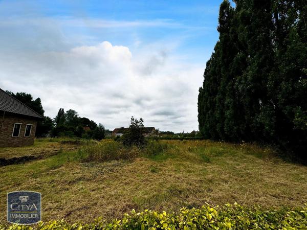 Vente maison Ferrière-la-Grande (59680) 7 pièces 180m²