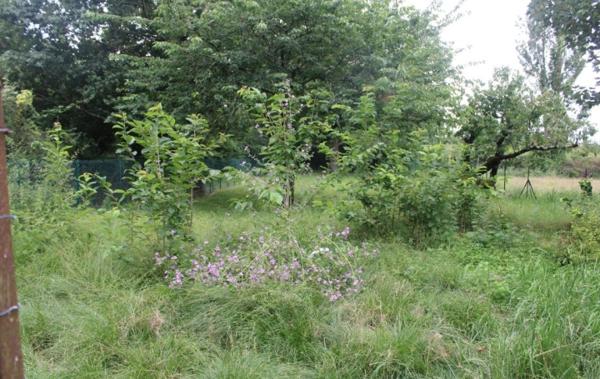 Vente Maison Avec dépendances Castelsarrasin   