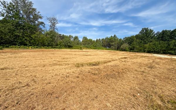 Terrain à vendre