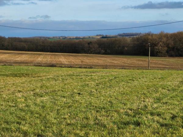 Terrain à LAMOTHE-GOAS, 32500 - 2869m²