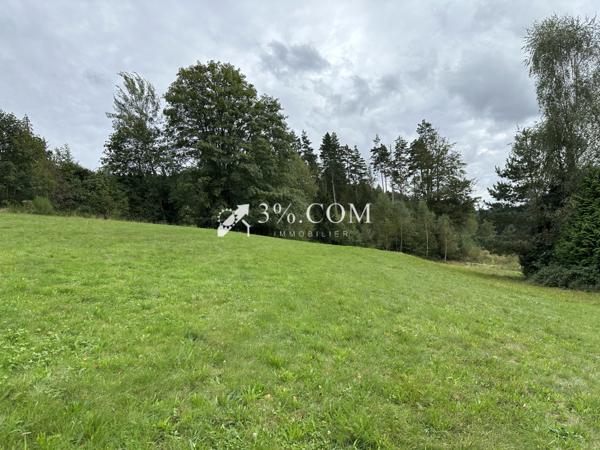 Terrain à bâtir 1800 m2 secteur Gerardmer  Gérardmer (88400)
