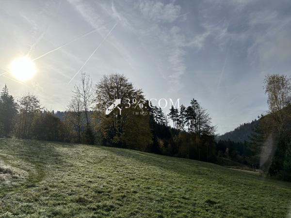 Terrain à bâtir 1800 m2 secteur Gerardmer  Gérardmer (88400)