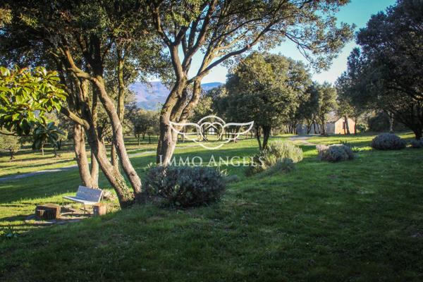 Domaine d’exception au cœur de la nature – 45 hectares – Saint-Pons-de-Thomières